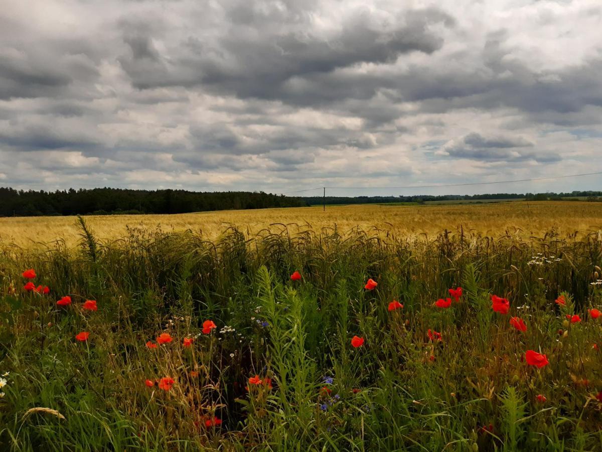 Czarna Jachta - Na Szlaku Legend - - - - - Pokoje Nad Jeziorem Круклянки Экстерьер фото